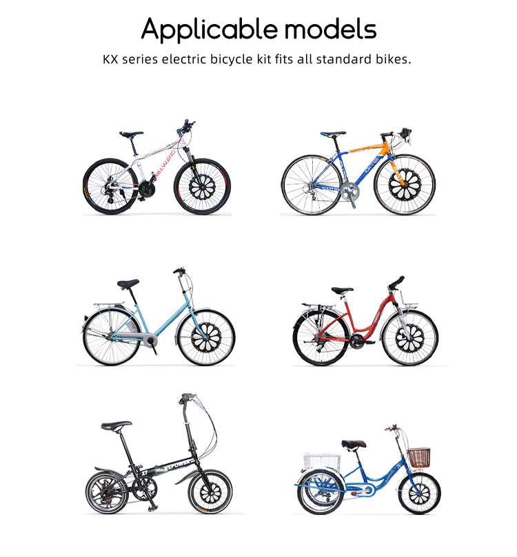 LvBu Electric Bike Kit Upgrade Your Bike to an Easifit Ebike!Lvbu