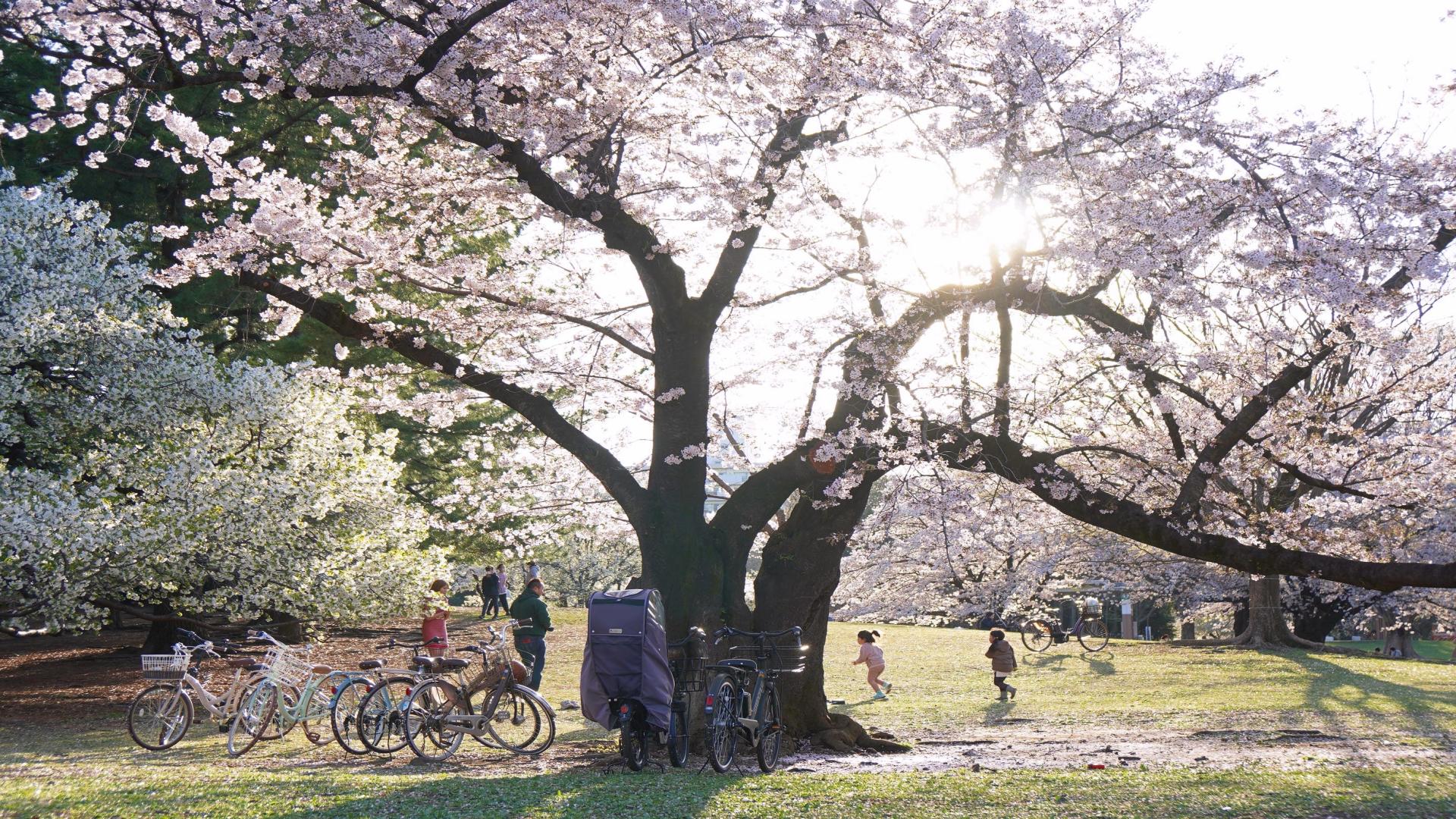 As long as it's cycling, you should understand the truth