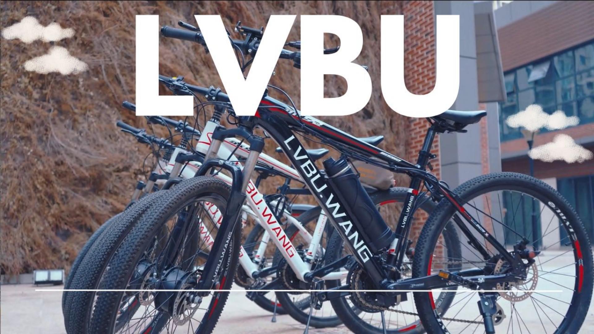 Why is Lvbu Technology the Best Choice for Electric Bike Kits？