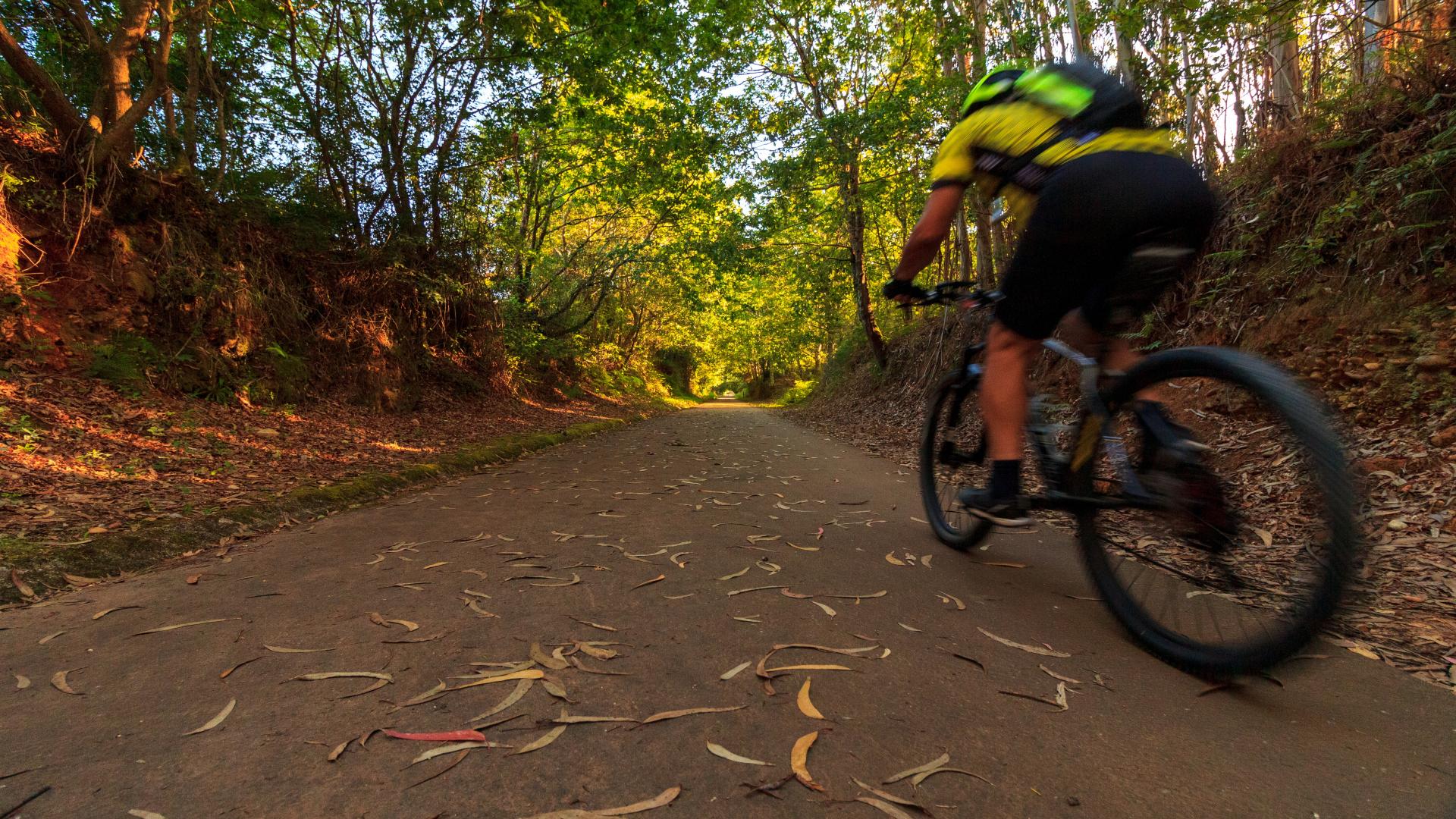 Can You Ride an Electric Bike Without Pedaling?