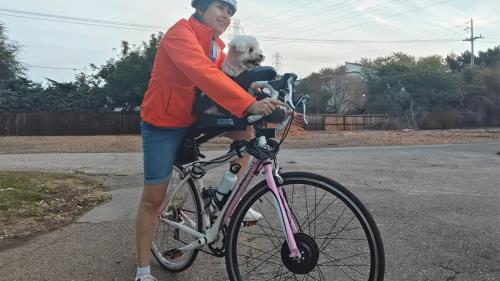 commuter bike build / 