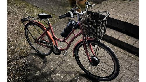 e bike conversion kit 250w / 