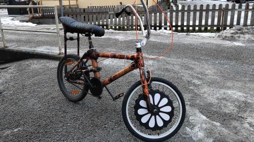 bamboo bike build / 