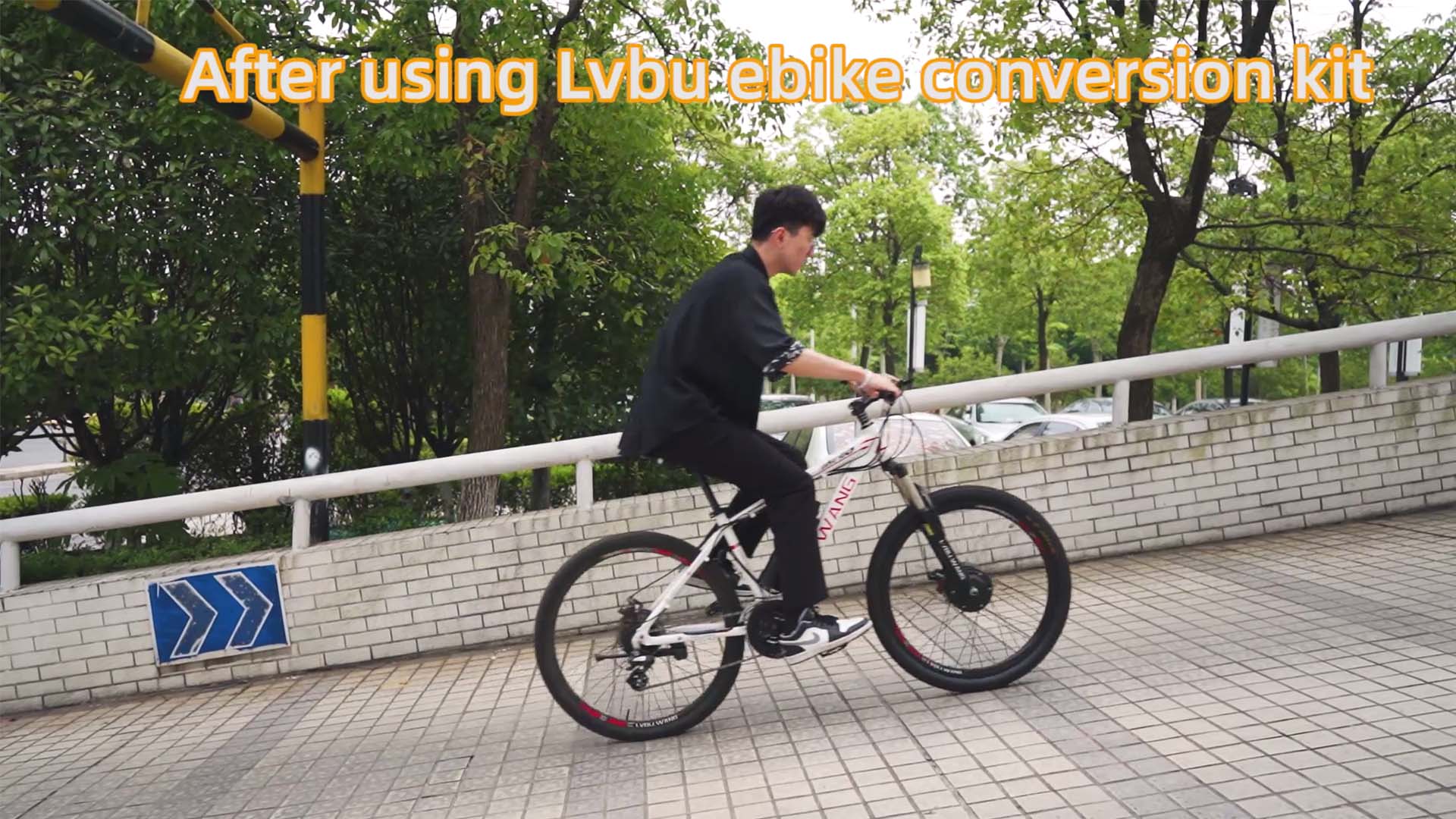 Lvbu Intelligent electric bike conversion kit with bld motor with battery included