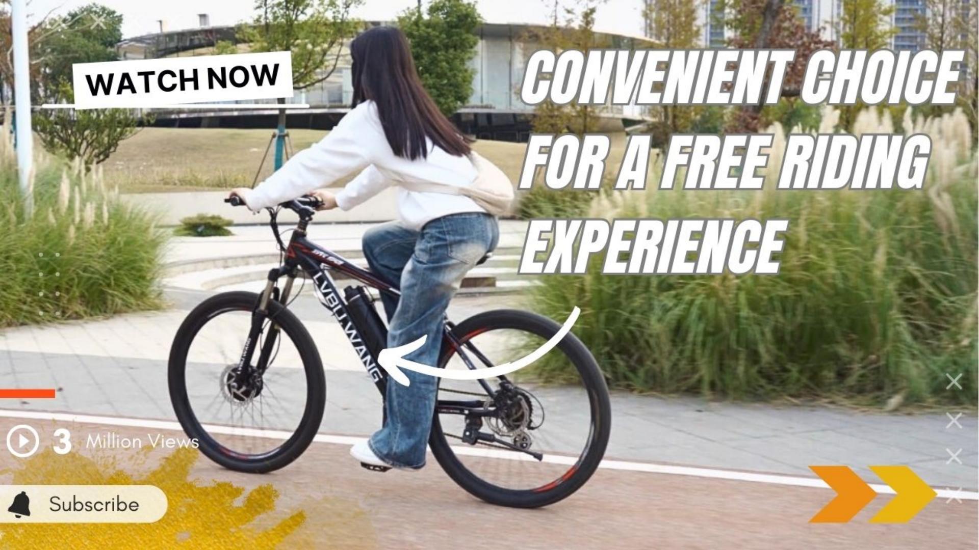 Lvbu Bottle Battery Ebike Kit// Convenient Choice for a Free Riding Experience