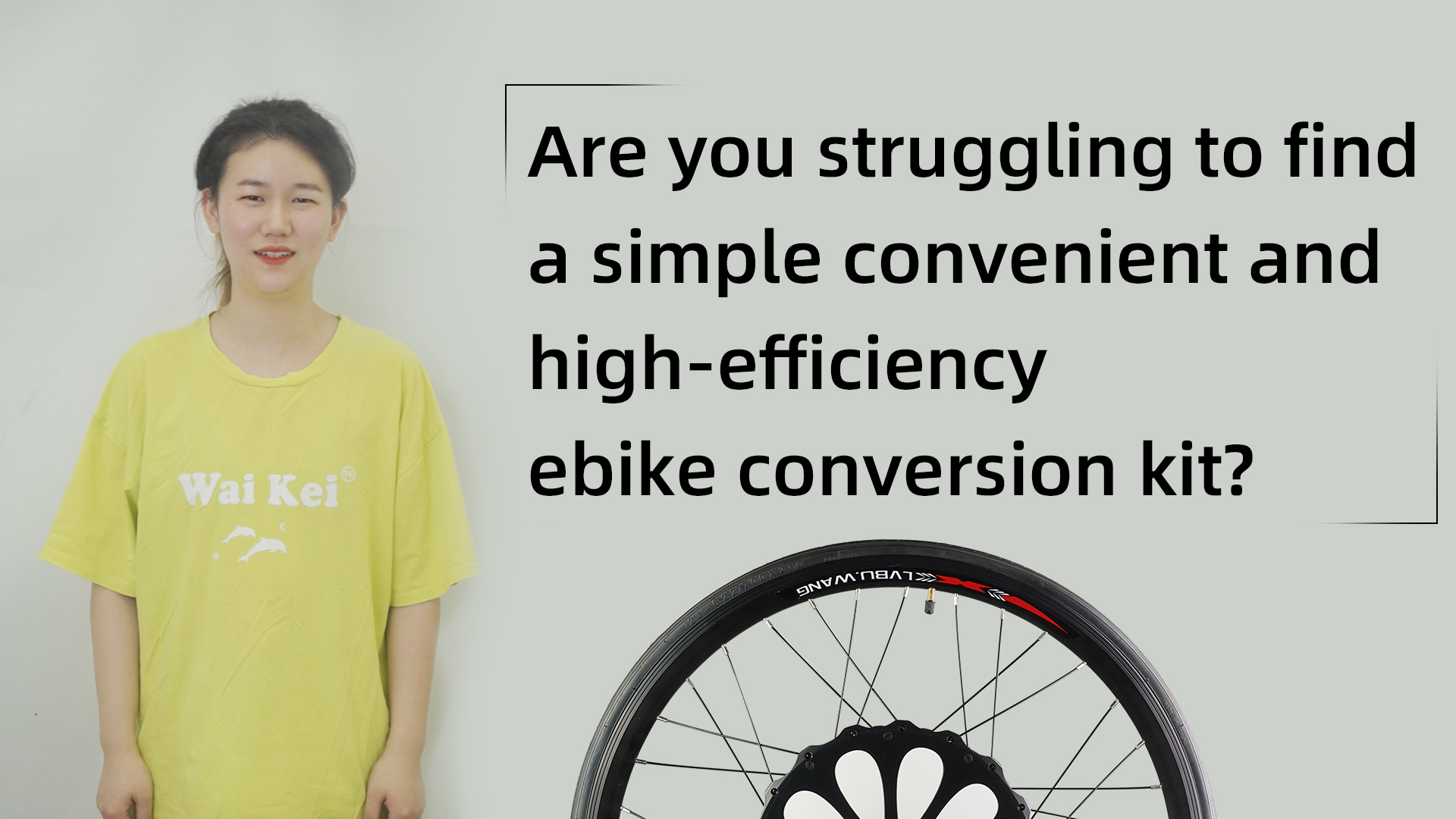 Simple Convenient And High-efficiency Ebike Conversion Kit Introduction