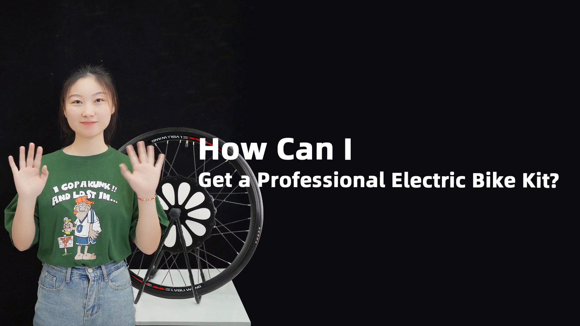 New Arrival Factory CE Approved Electric Bicycle Motor Conversion Kit