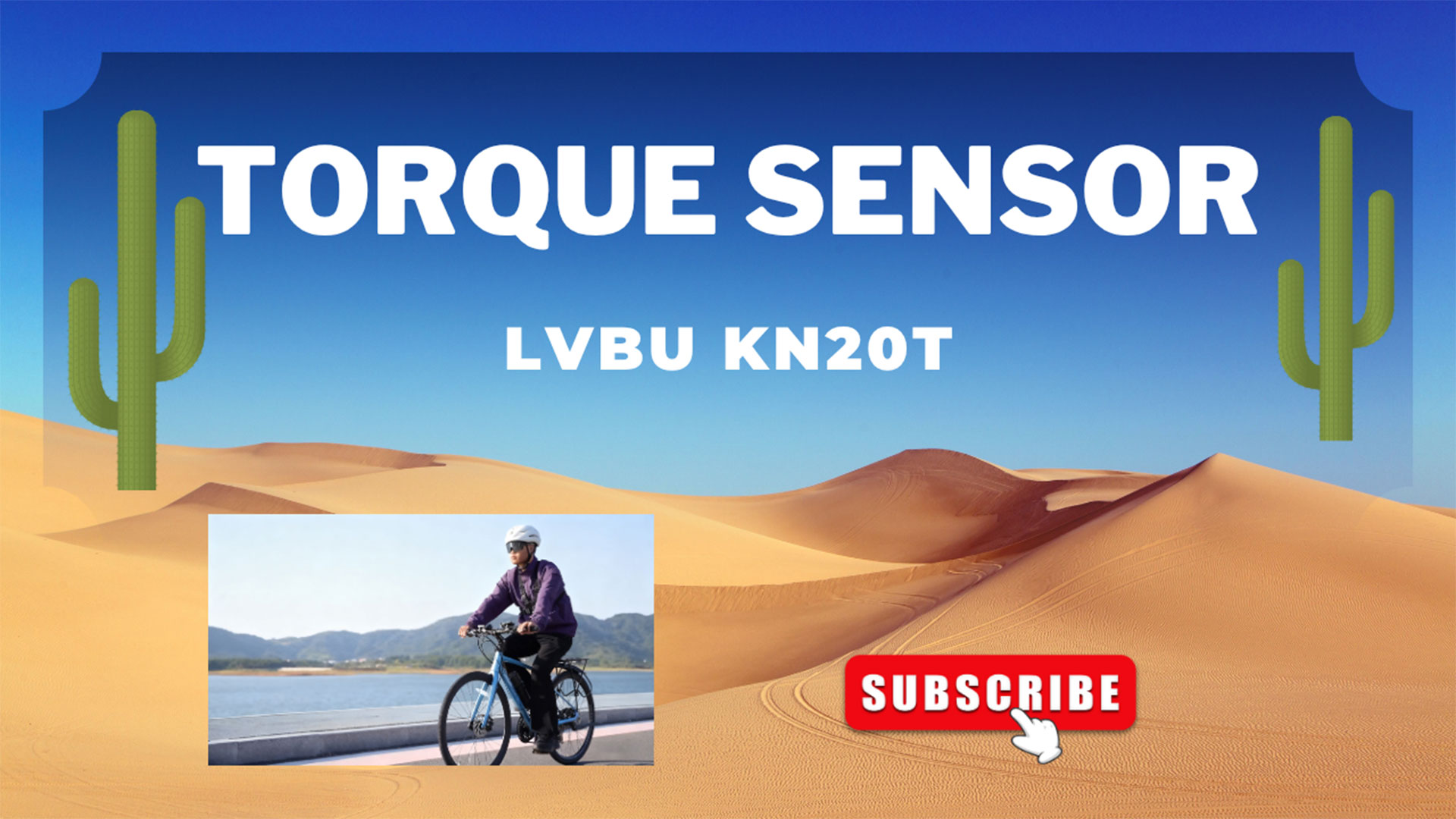 Check! E-Bike Conversion Kit with Torque Sensor | Easy Install