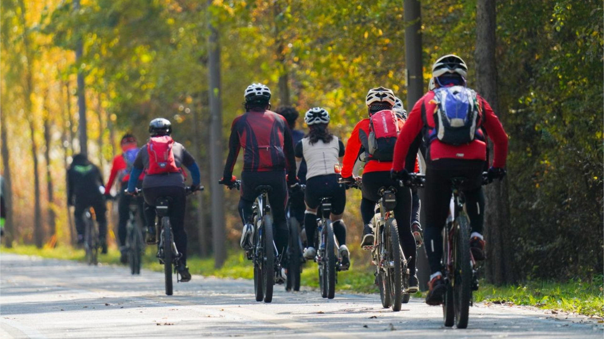 骑行文化引领自行车产业健康蓬勃发展