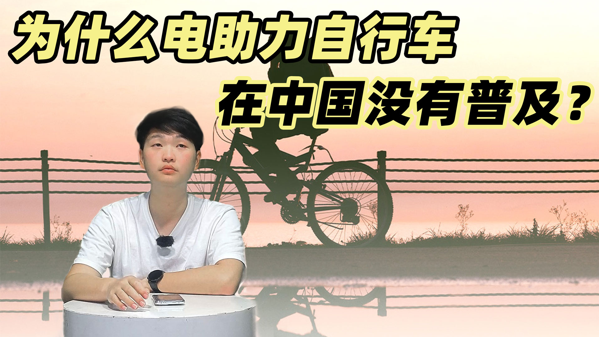 为什么电助力自行车在中国没有普及？